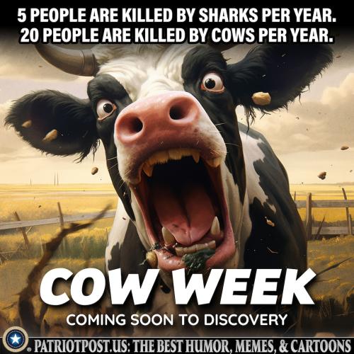cow week