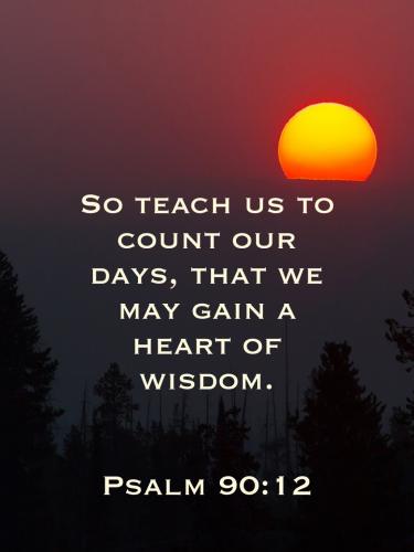 Bible-save-b8695635-1242433124