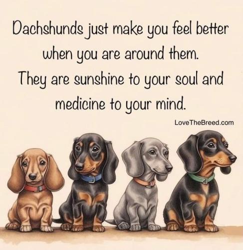 FB_IMG_1692054983771