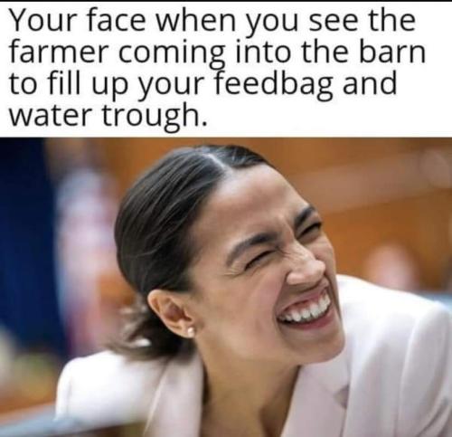 FB_IMG_1690856381565