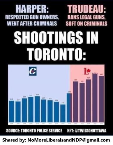 shootings in Toronto