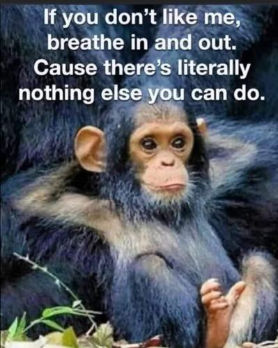 FB_IMG_1692607495736