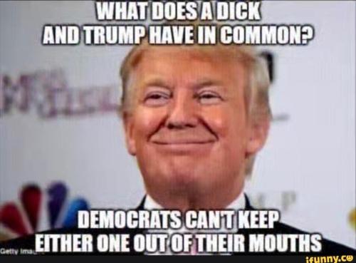 e5613747-f3e5-4366-b6e0-ede00c187a8f