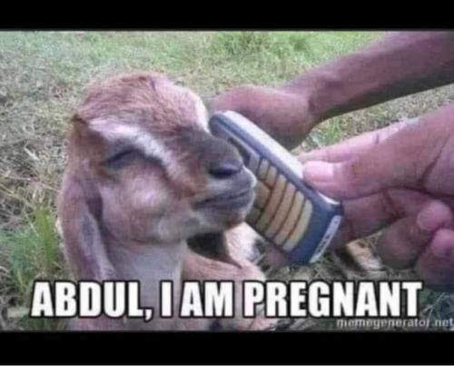 FB_IMG_1692631642222