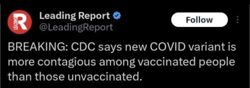 IMG_20230828_054922_290