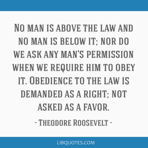 theodore-roosevelt-quote-lbt9j3z
