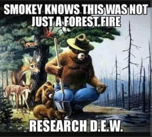 FB_IMG_1692272094952