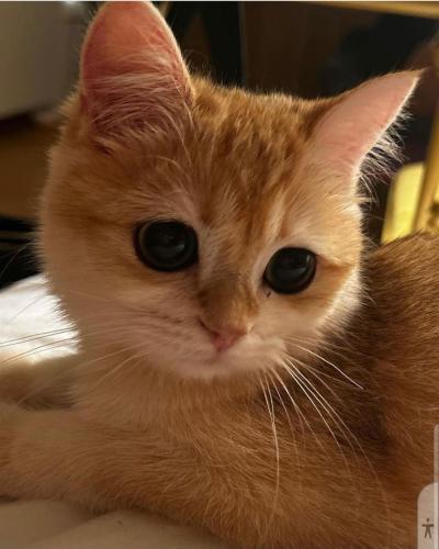 00:12:39 GMT-0500 (CDT)