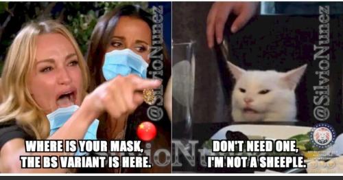 8f304903-581f-4fe3-a65a-bd0503565159