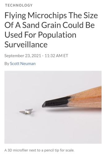 IMG_20230816_012229_903