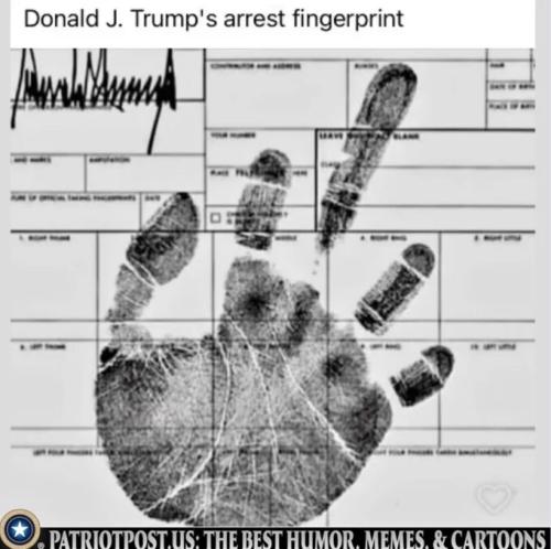 Trump Back 2