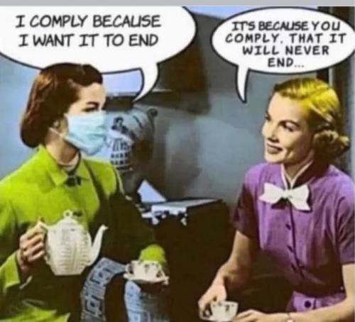 4d0d3810-fc5d-4a9d-99b9-02516a400e76