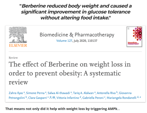 Berberine and AMPk in Diabetes and Weight Loss - CarboFix