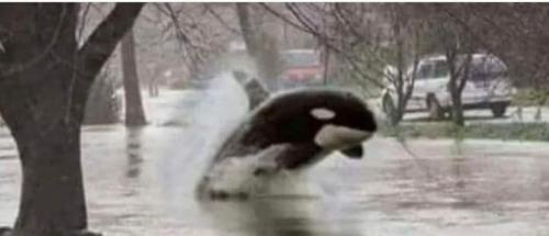 FB_IMG_1692627690966