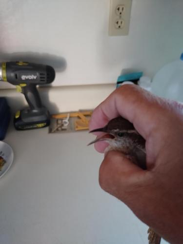 IMG_20220707_075812_MP