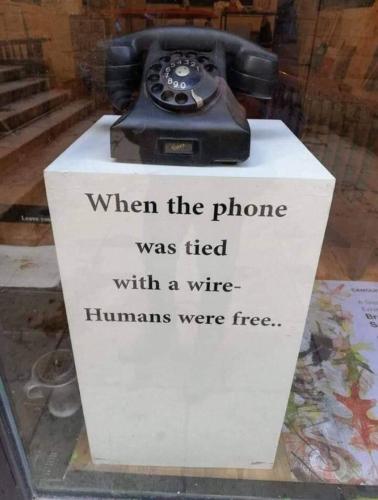 FB_IMG_1691412891707