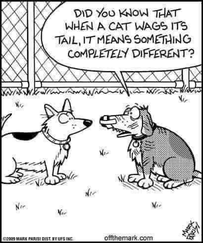 FB_IMG_1692995332741