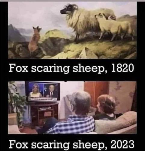 FB_IMG_1691164634240