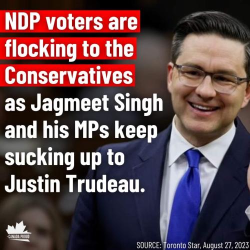 NDP Voters