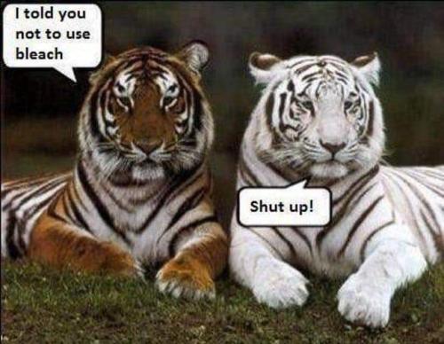 FB_IMG_1692738303718