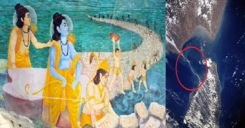 .michellefieldingnewsdonaldtrump