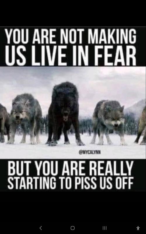 Screenshot_20230824_234916_Wimkin Free Speech Social Media