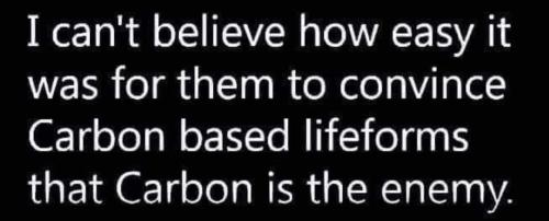 carbon based lifeforms