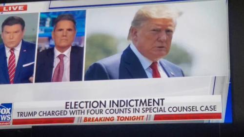 .michellefieldingnewsdonaldtrump