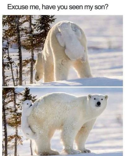 39747251_2306338709408820_5933359352189550592_n