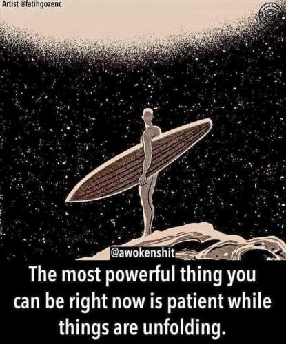 FB_IMG_1692338899444