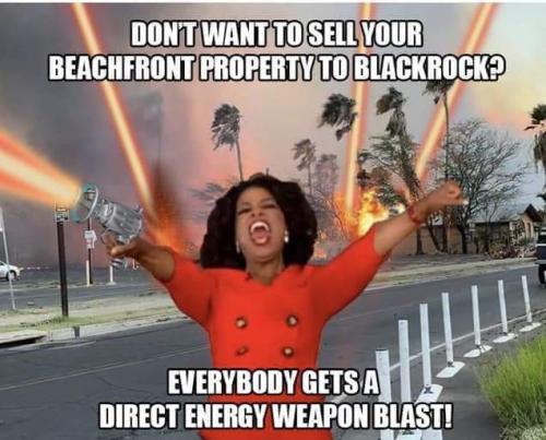 FB_IMG_1692355999252