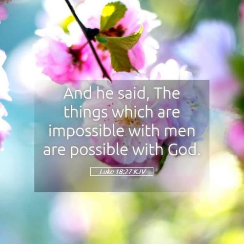 f7a54d73-e6ad-423a-8e9e-d6e9ad9210b5