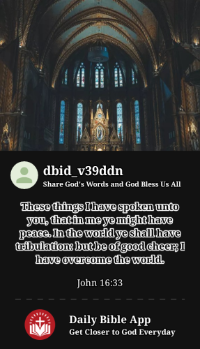 2023-08-101691723461268