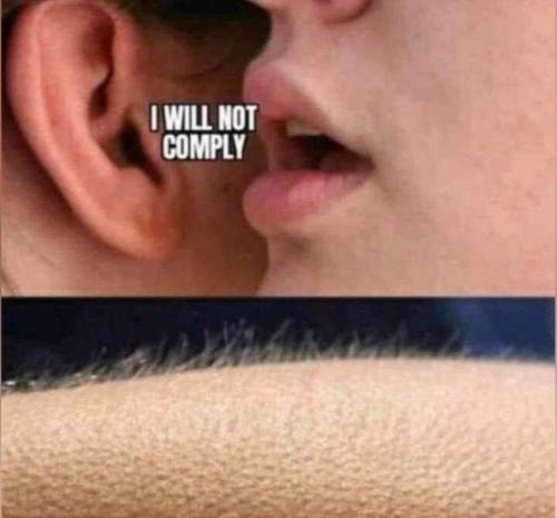 photo_2023-08-26_21-47-58