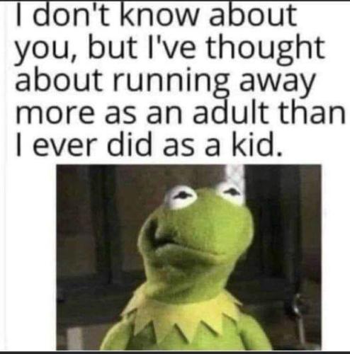 FB_IMG_1692926203459