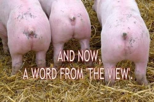 FB_IMG_1692977764620