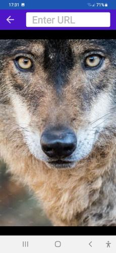 Screenshot_20230804-173108_Shield Home