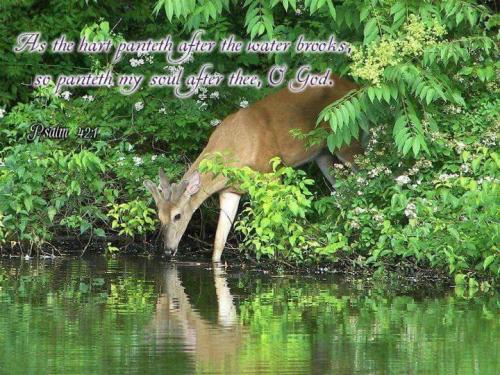 f1a988a8-8ddb-4a76-a8b2-c3c1b0fe4b1b