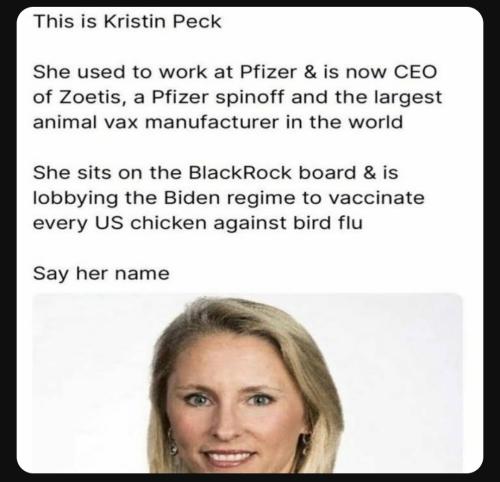 Screenshot_20230820_151037_YouTube