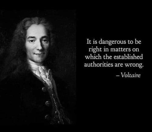 FB_IMG_1691113081353