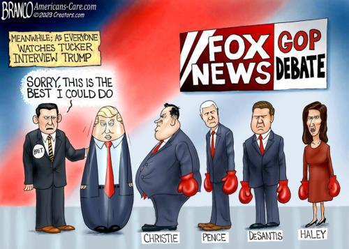 Branco_punch_bag_trump