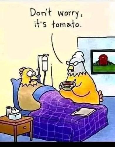 FB_IMG_1692328872609