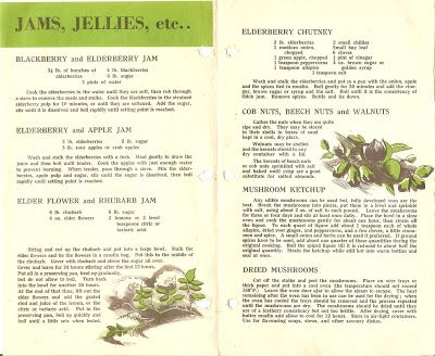 3a210d02f4542dc2ff12e78462b5a411