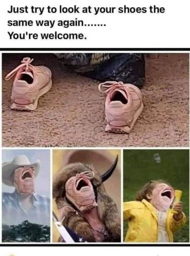 FB_IMG_1691033091428