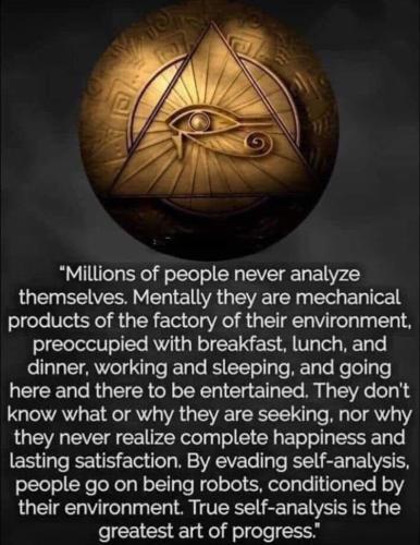 FB_IMG_1691417802842