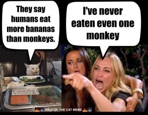 FB_IMG_1692116037673