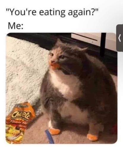 362279900_3579450769044996_4451778417928226490_n