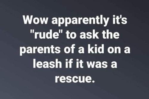 FB_IMG_1692606437463