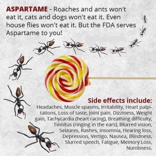 IMG_20230802_230353_741