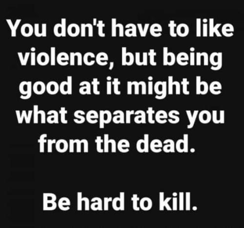 FB_IMG_1691552994356